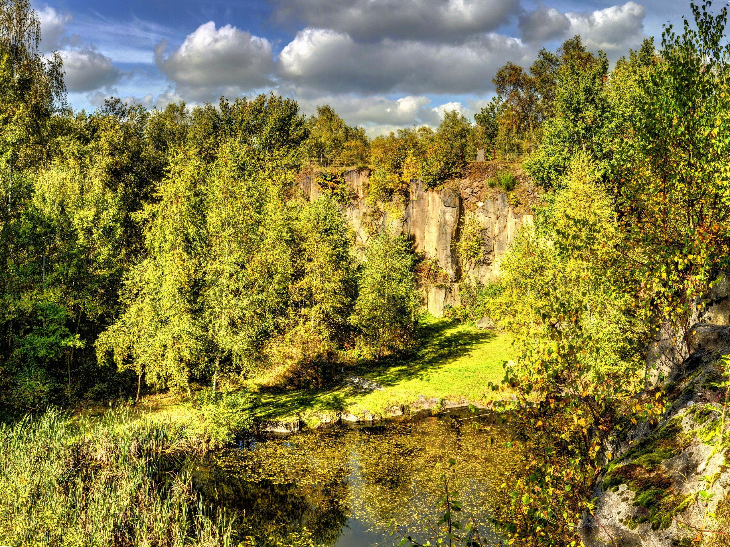 Forest pond with quarry wall