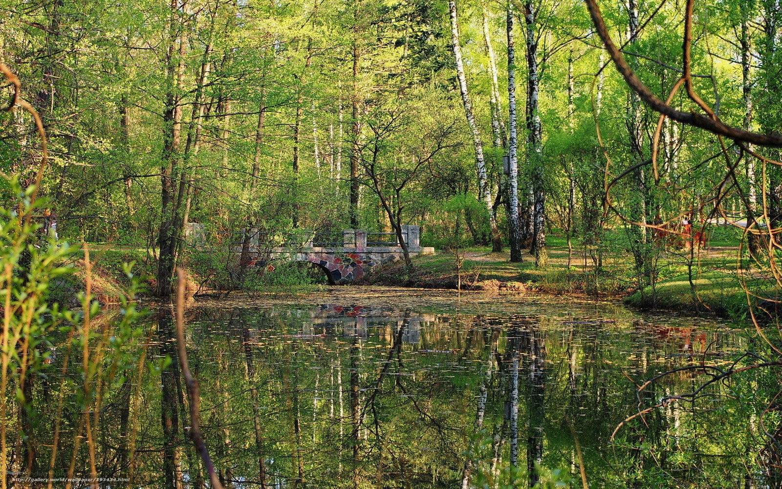 Forest pond with stone bridge
