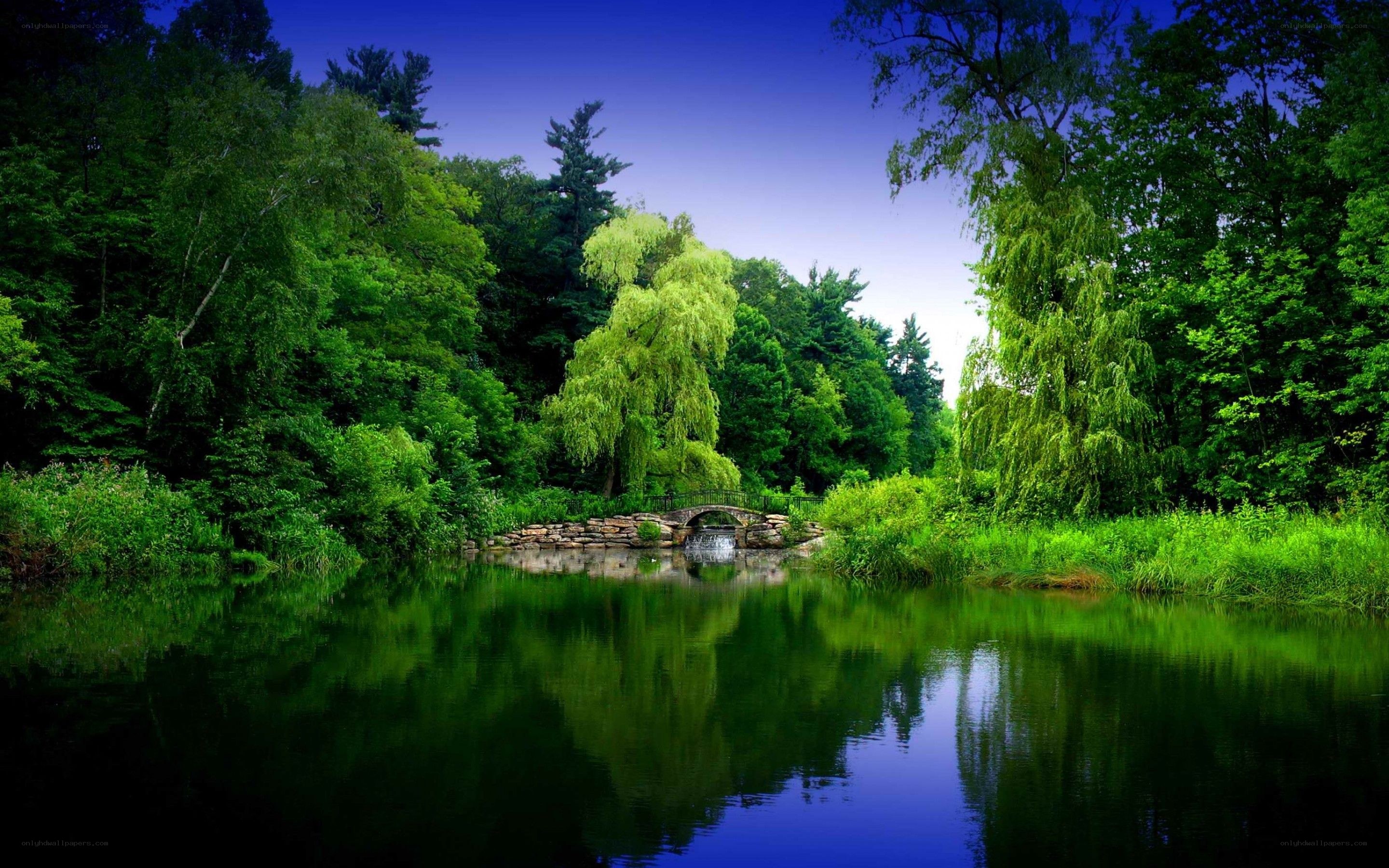 Forest pond with stone bridge
