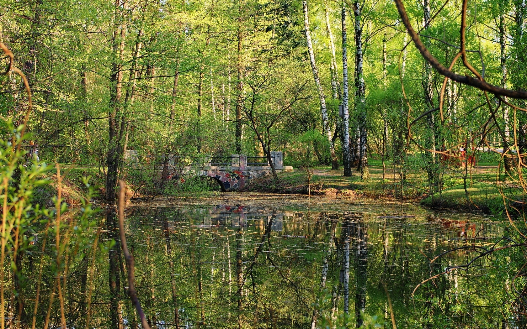 Forest pond with stone bridge