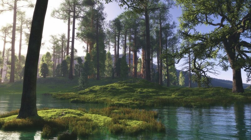 Forest Pond with Trees — Green, Serene, Morning