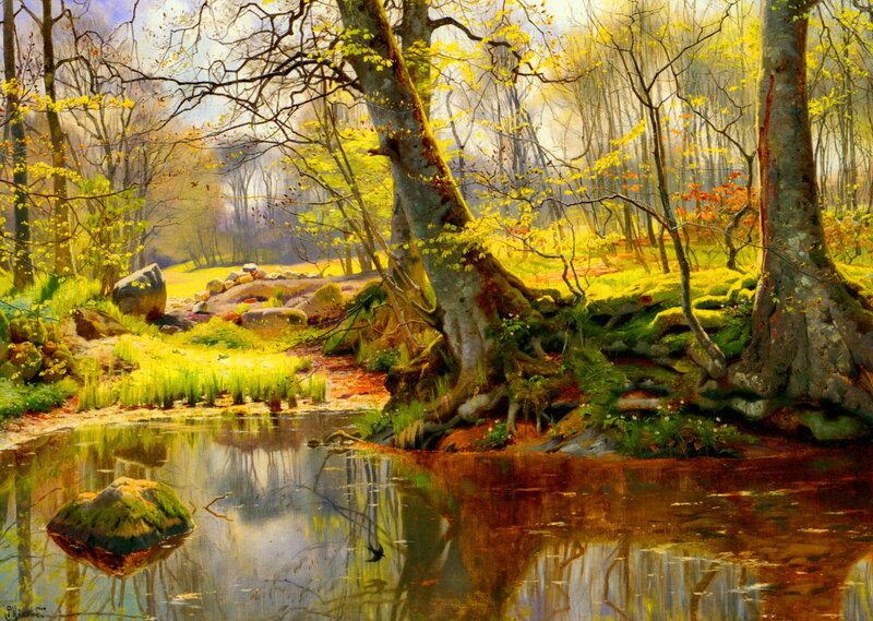Forest Pond with Trees — Green, Serene, Spring