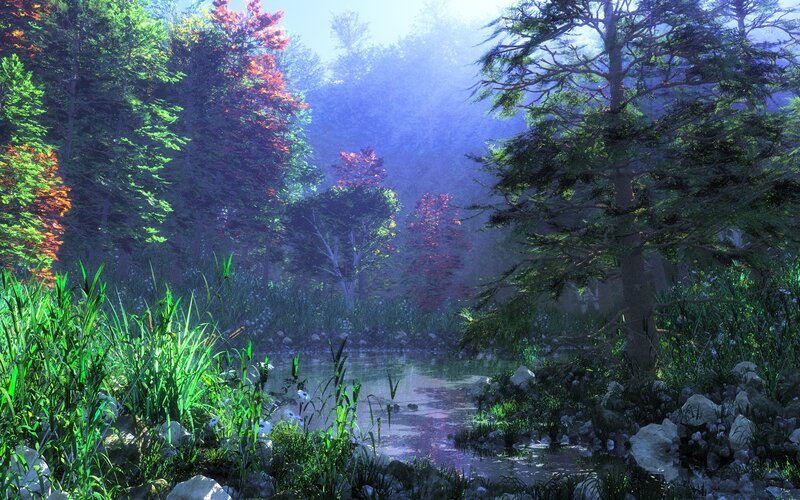 Forest Pond with Trees — Green