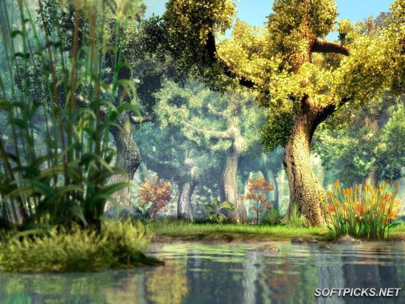 Forest Pond with Trees