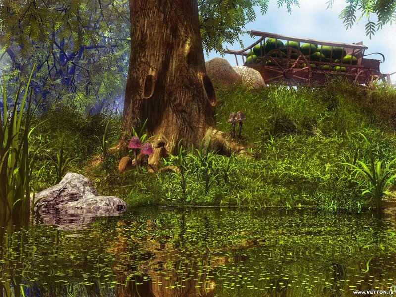 Forest pond with wagon