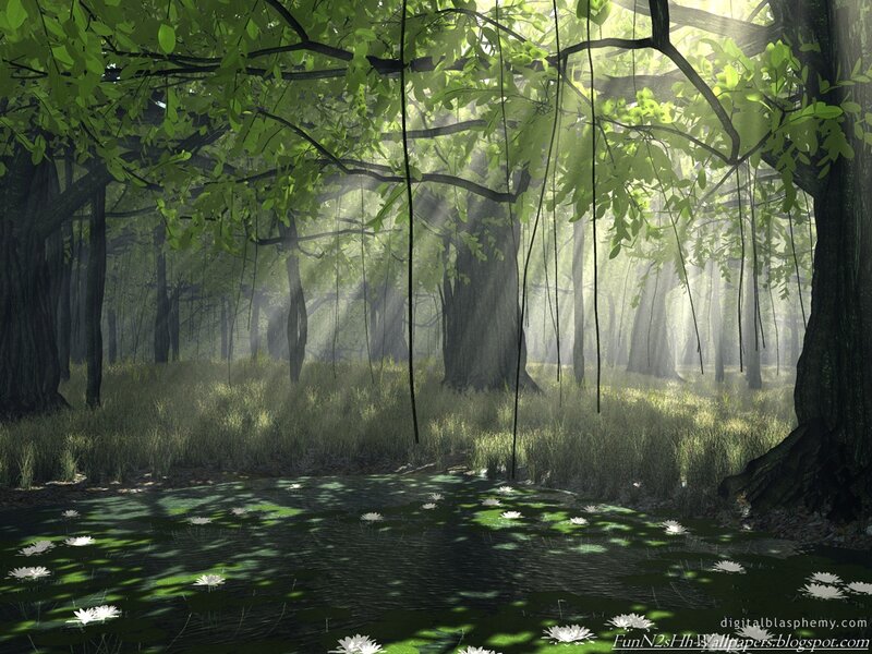 Forest Pond with Water Lilies