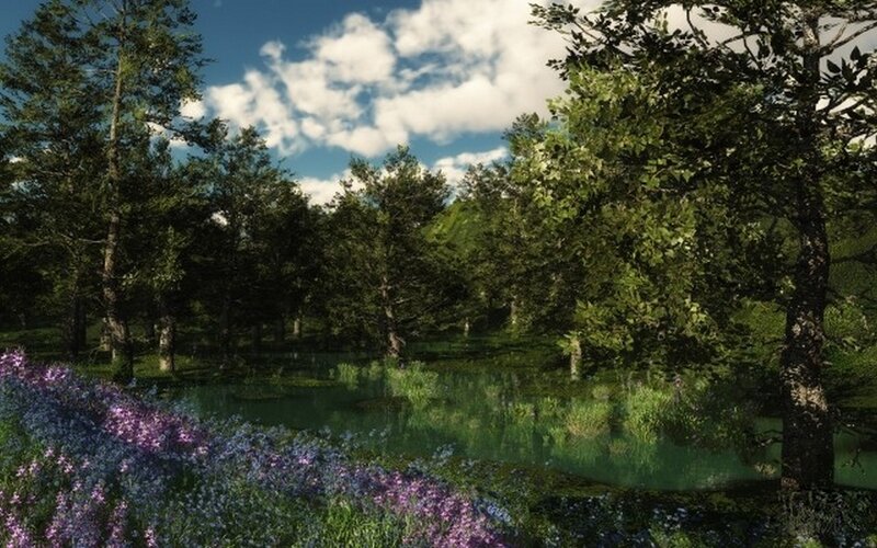 Forest pond with wildflowers