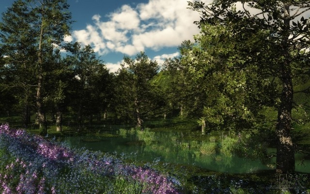 Forest pond with wildflowers
