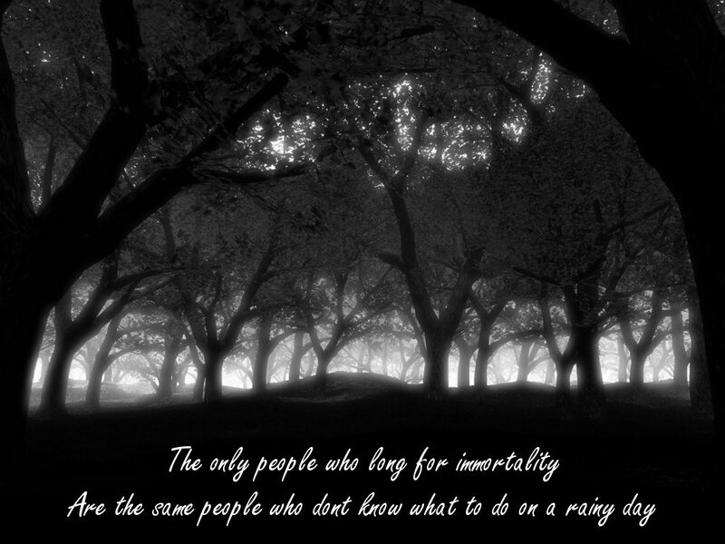 Forest quote image