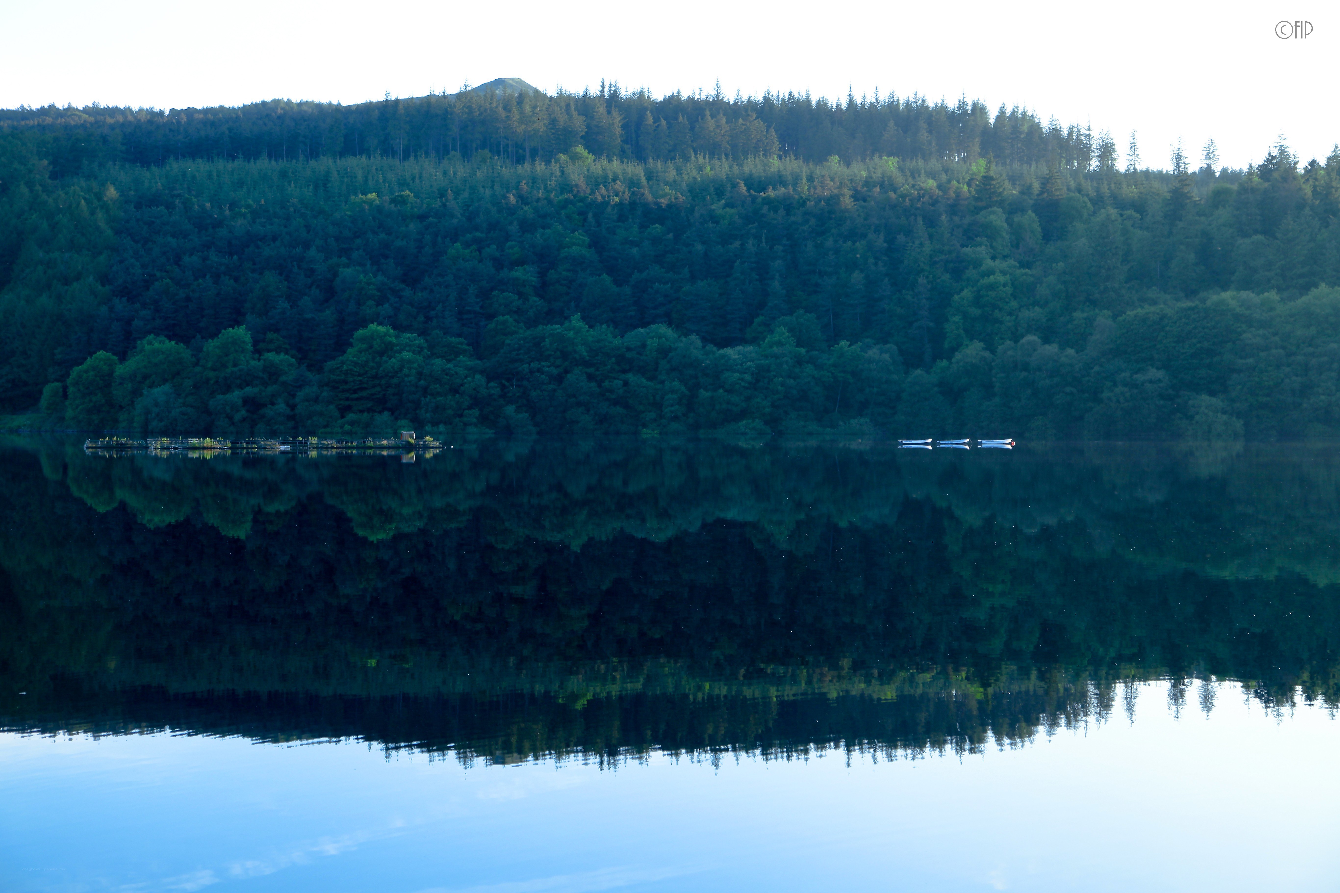 Forest reflected in a calm lake