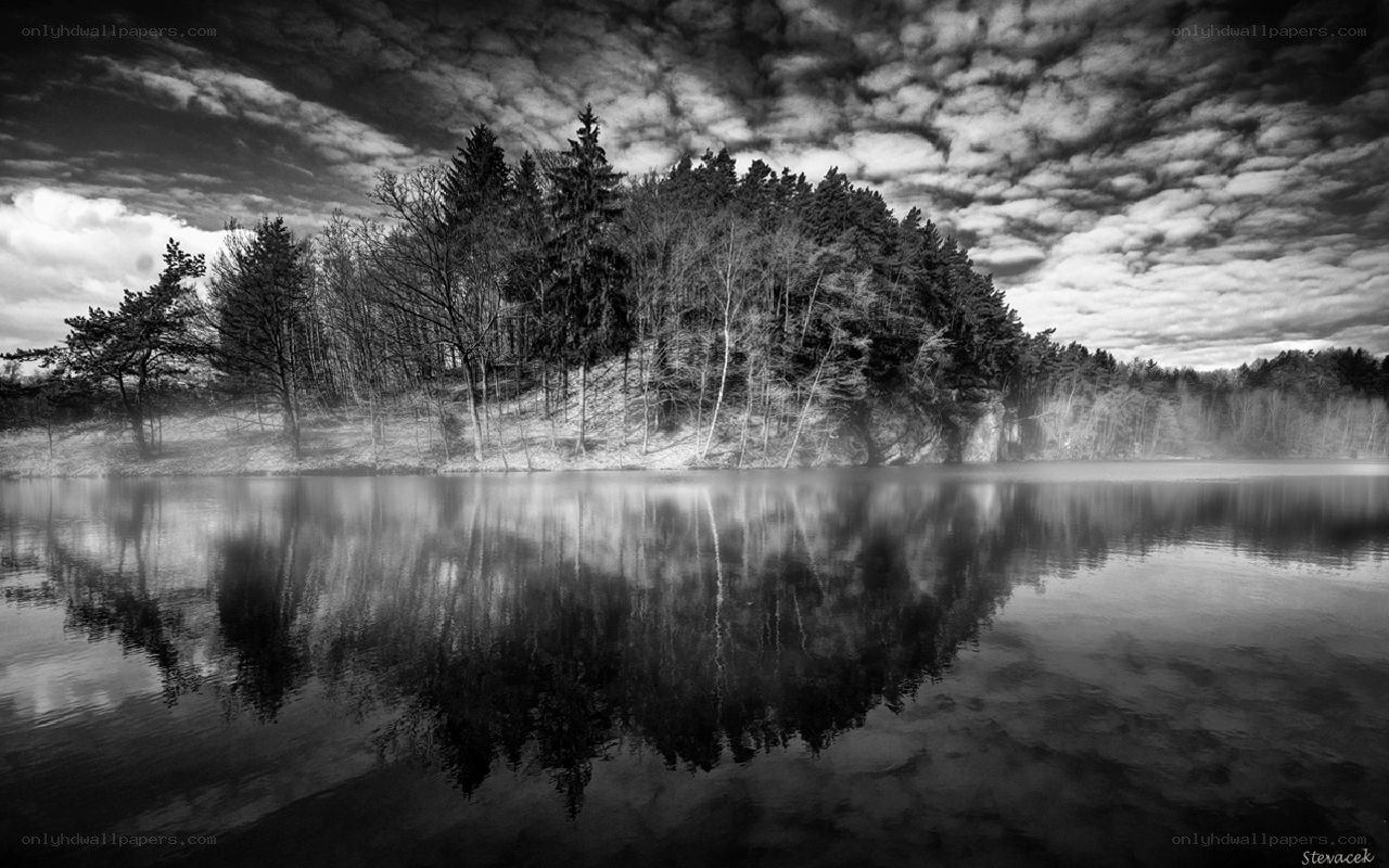Forest reflected in a lake
