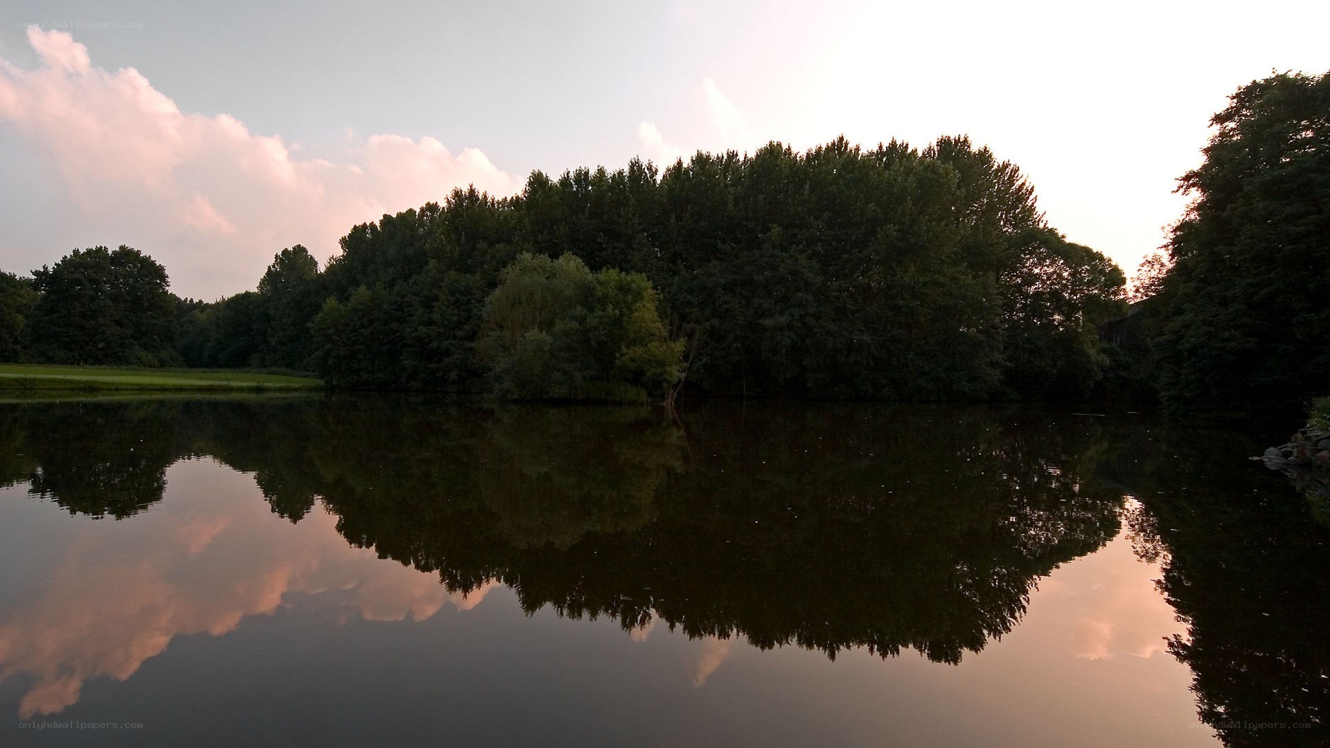 Forest reflected in calm lake