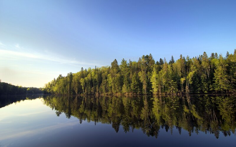 Forest Reflected in Lake — Blue, Serene, Morning