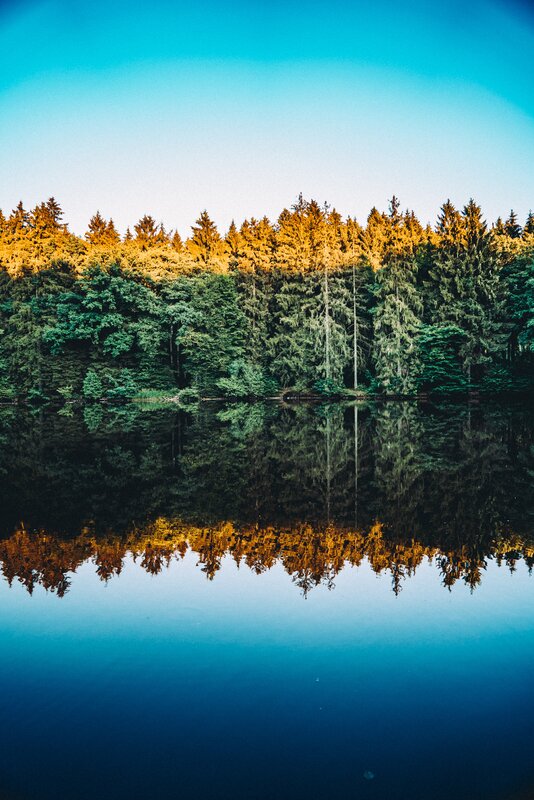 Forest Reflected in Lake — Blue, Serene, Sunset