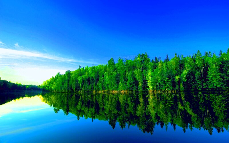 Forest Reflected in Lake — Blue