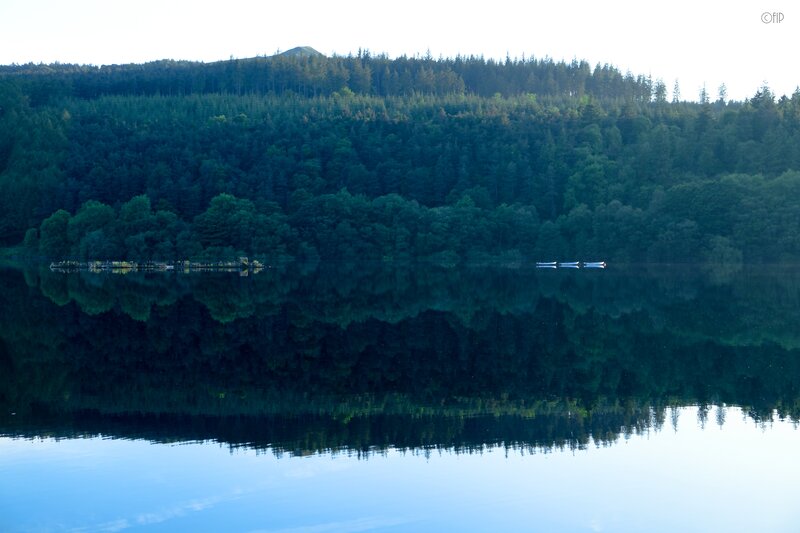 Forest Reflected in Lake — Green, Serene, Morning, Photograph