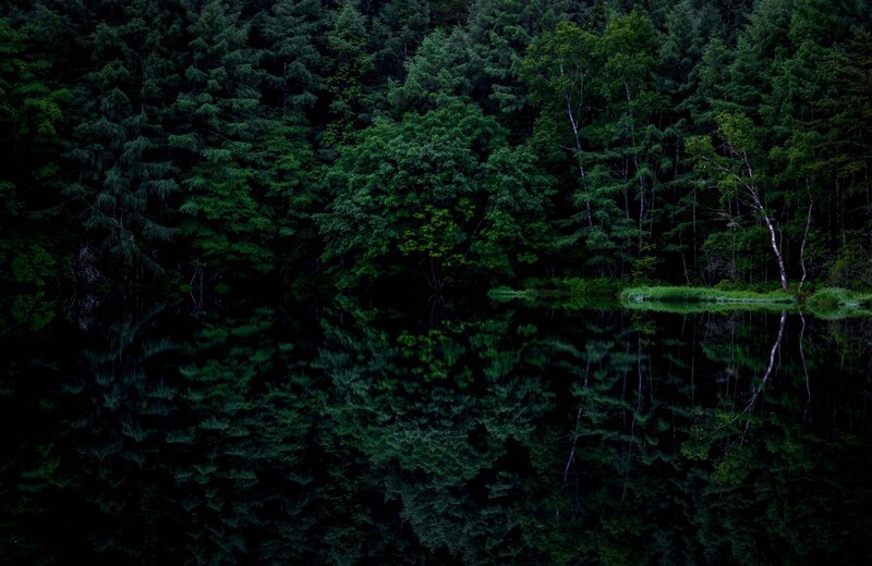 Forest Reflected in Lake — Green, Serene, Night