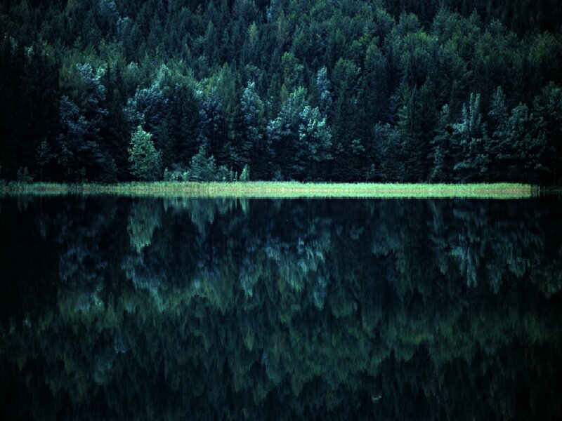Forest Reflected in Lake — Green, Serene, Photograph, Trees