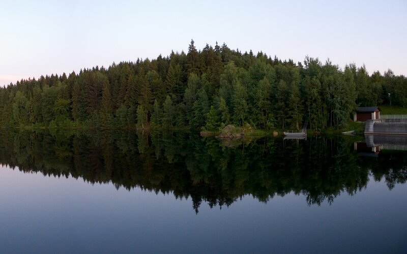 Forest Reflected in Lake — Green, Serene, Sunset, Photograph