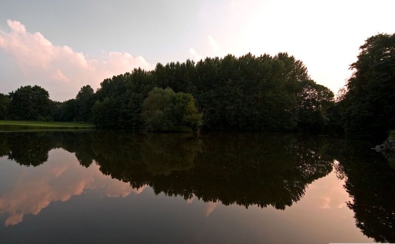 Forest Reflected in Lake — Green, Serene, Sunset