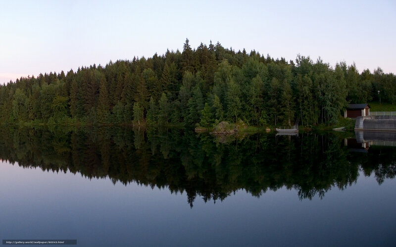Forest Reflected in Lake