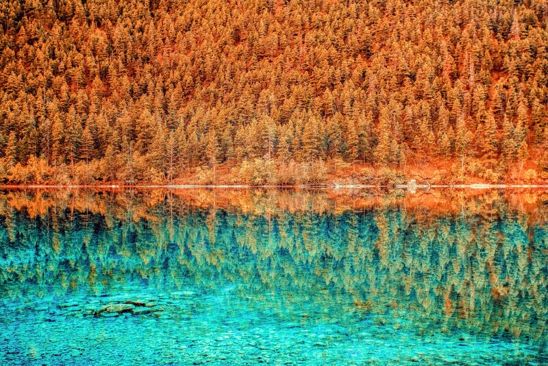 Forest reflected in turquoise lake