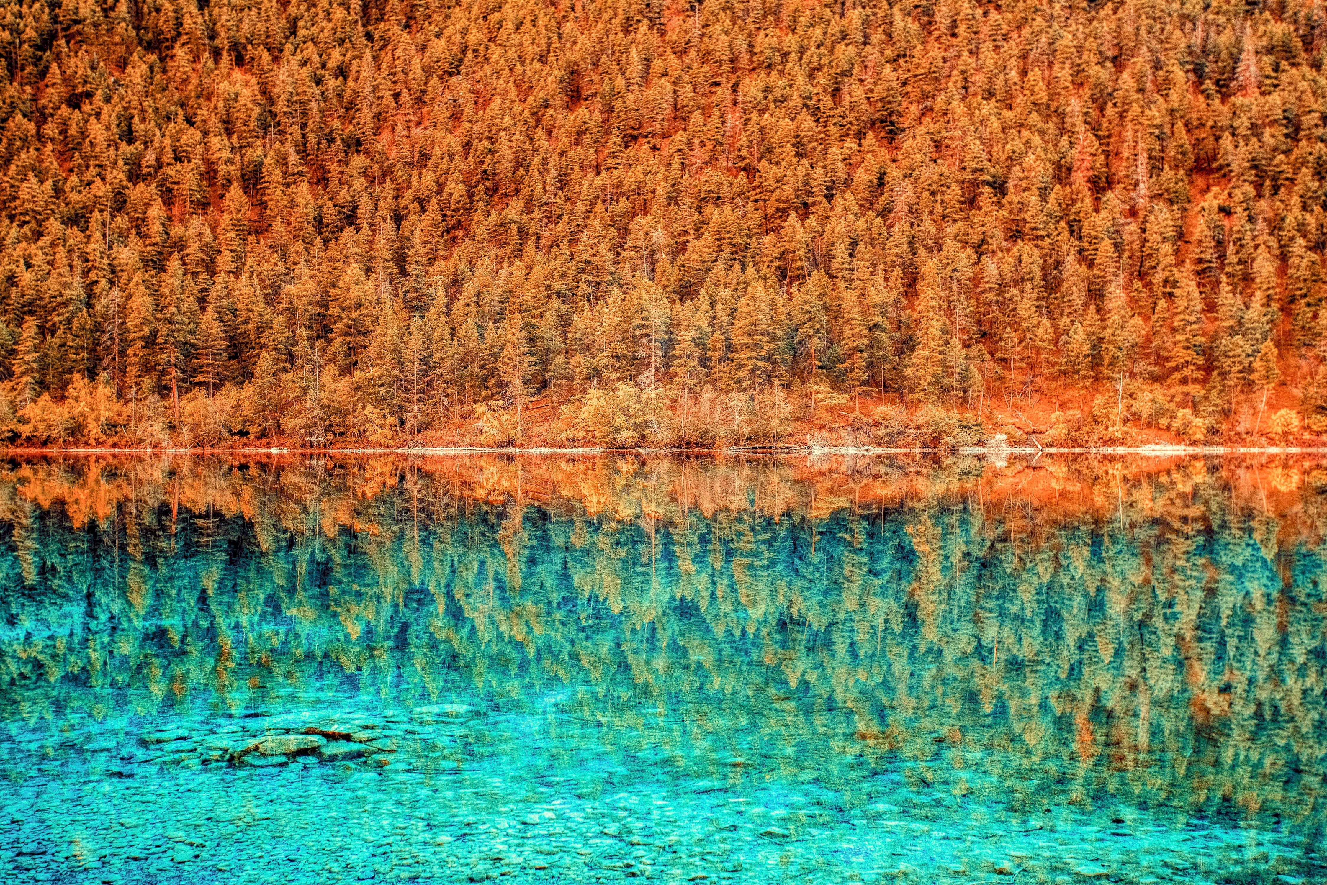 Forest reflected in turquoise lake