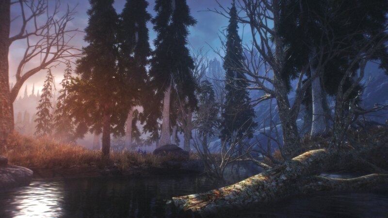 Forest River at Dusk — Blue, Serene, Sunset