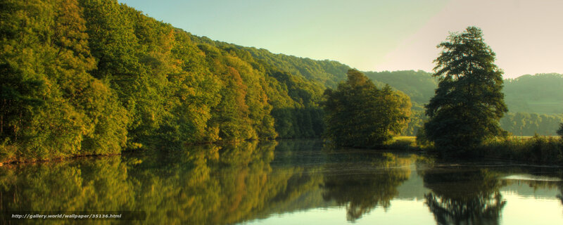 Forest river at sunrise
