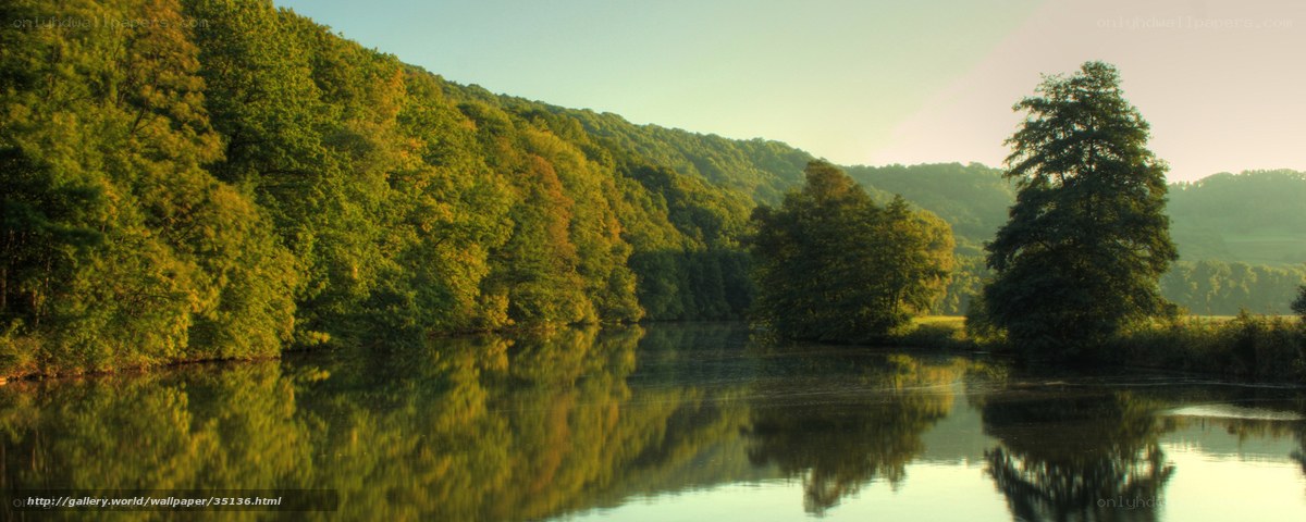 Forest river at sunrise