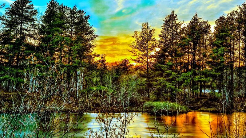 Forest River at Sunset — Yellow