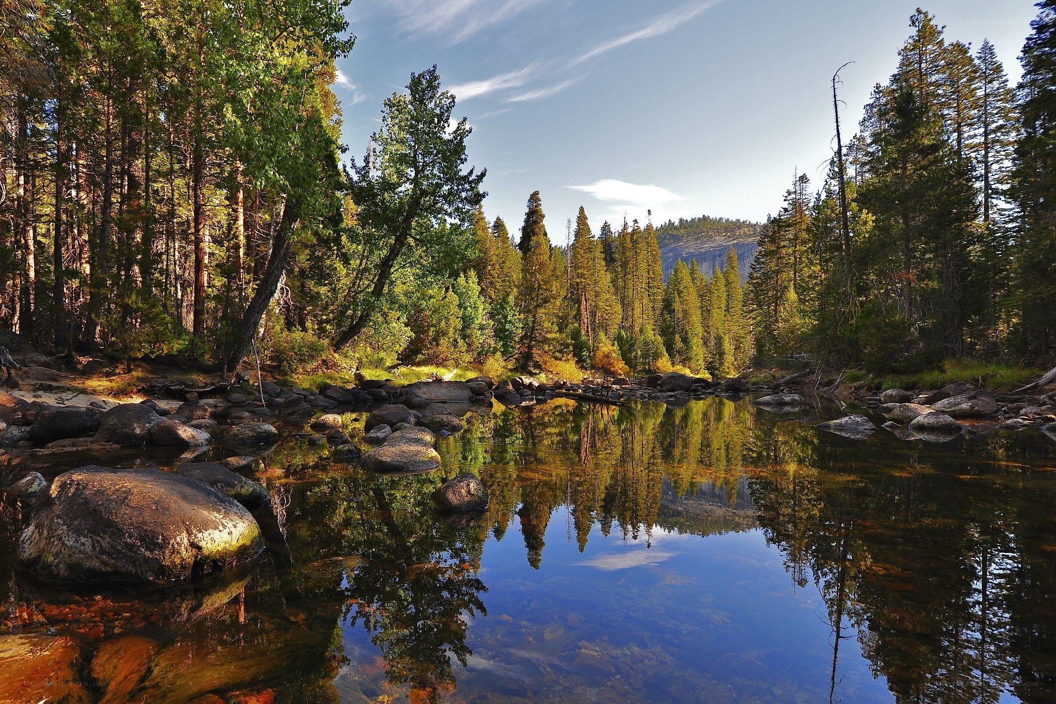 Forest river reflecting trees