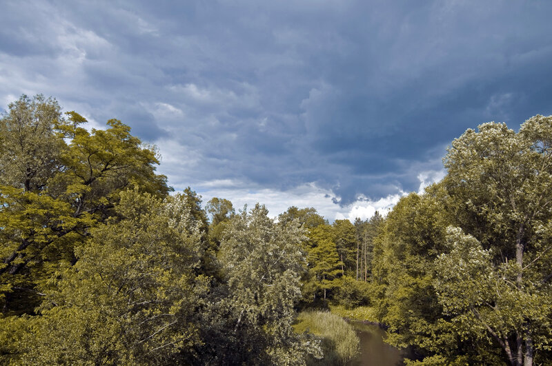Forest river under stormy sky