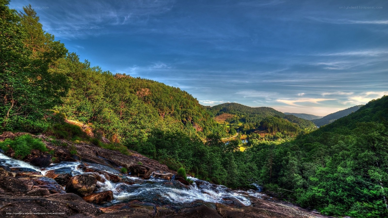 Forest river valley landscape