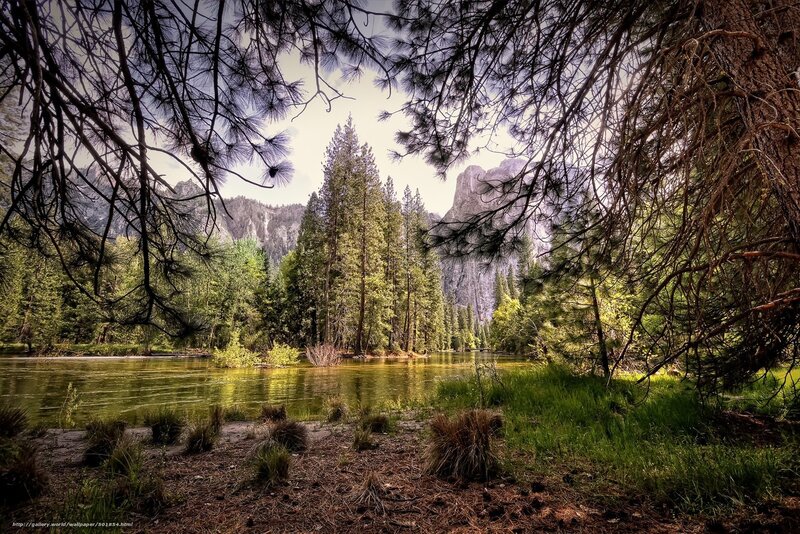 Forest river with mountains