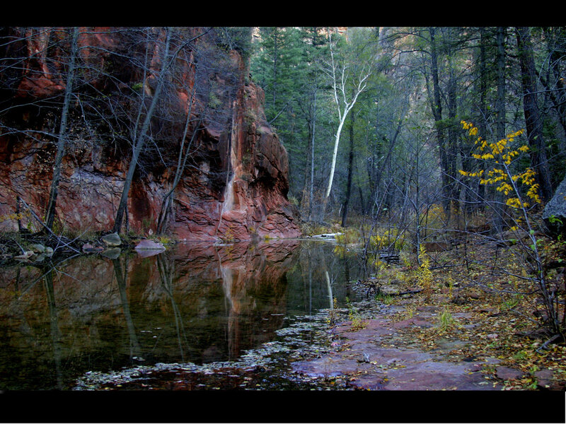 Forest river with red rock cliffs