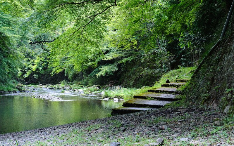 Forest river with stone steps