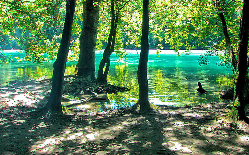 Forest river with turquoise water