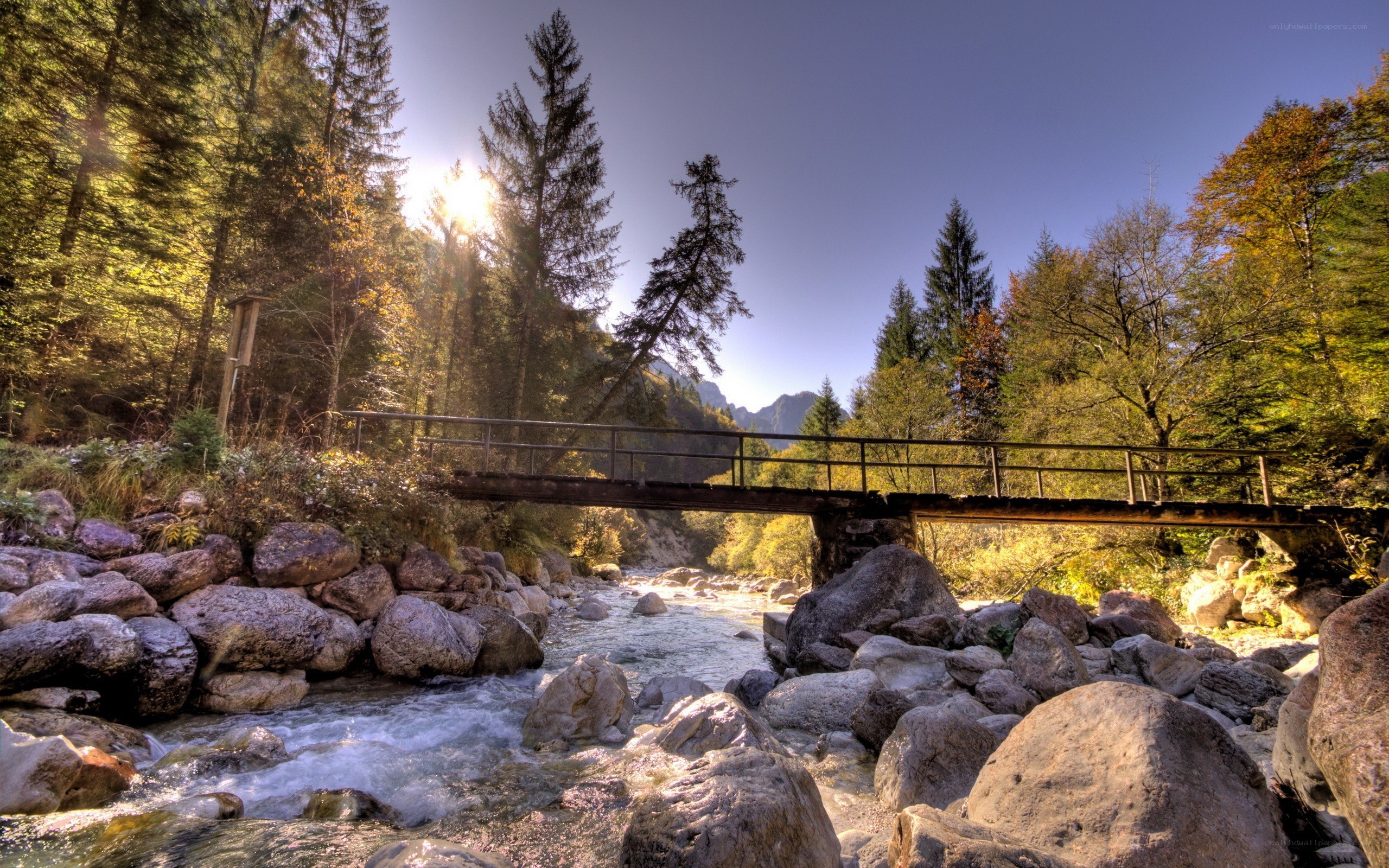 Forest river with wooden bridge