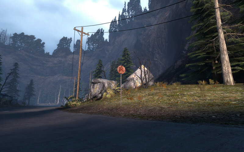 forest road with power lines