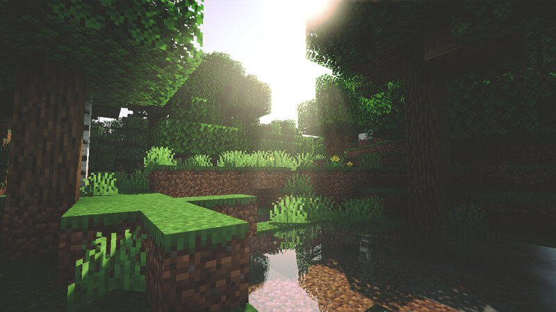 Forest Scene in Game