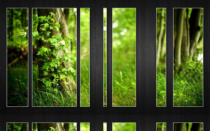 Forest scene in vertical panels