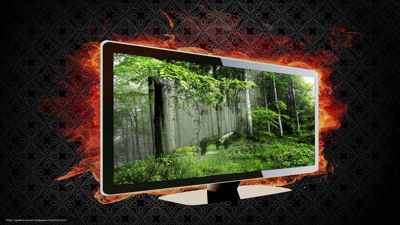 Forest scene on a fiery monitor