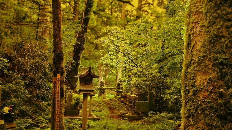 Forest shrine in Japan