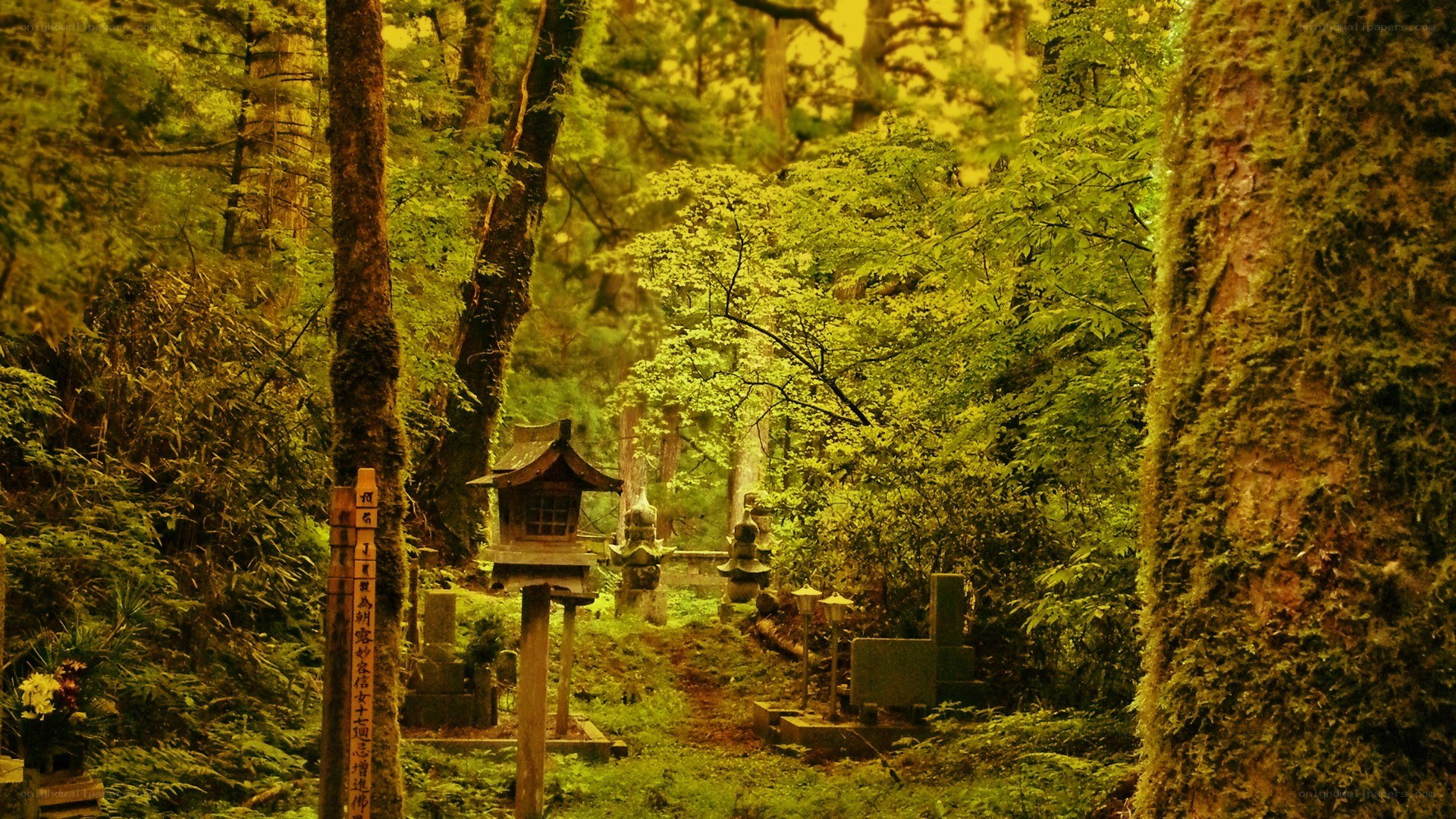 Forest shrine in Japan