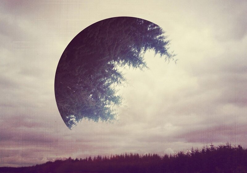 forest silhouette in circular frame