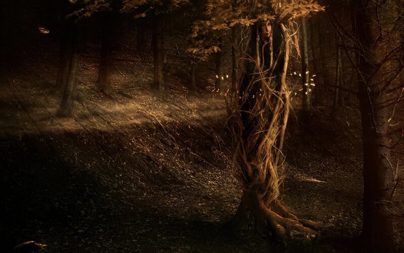 forest spirit in a dark wood