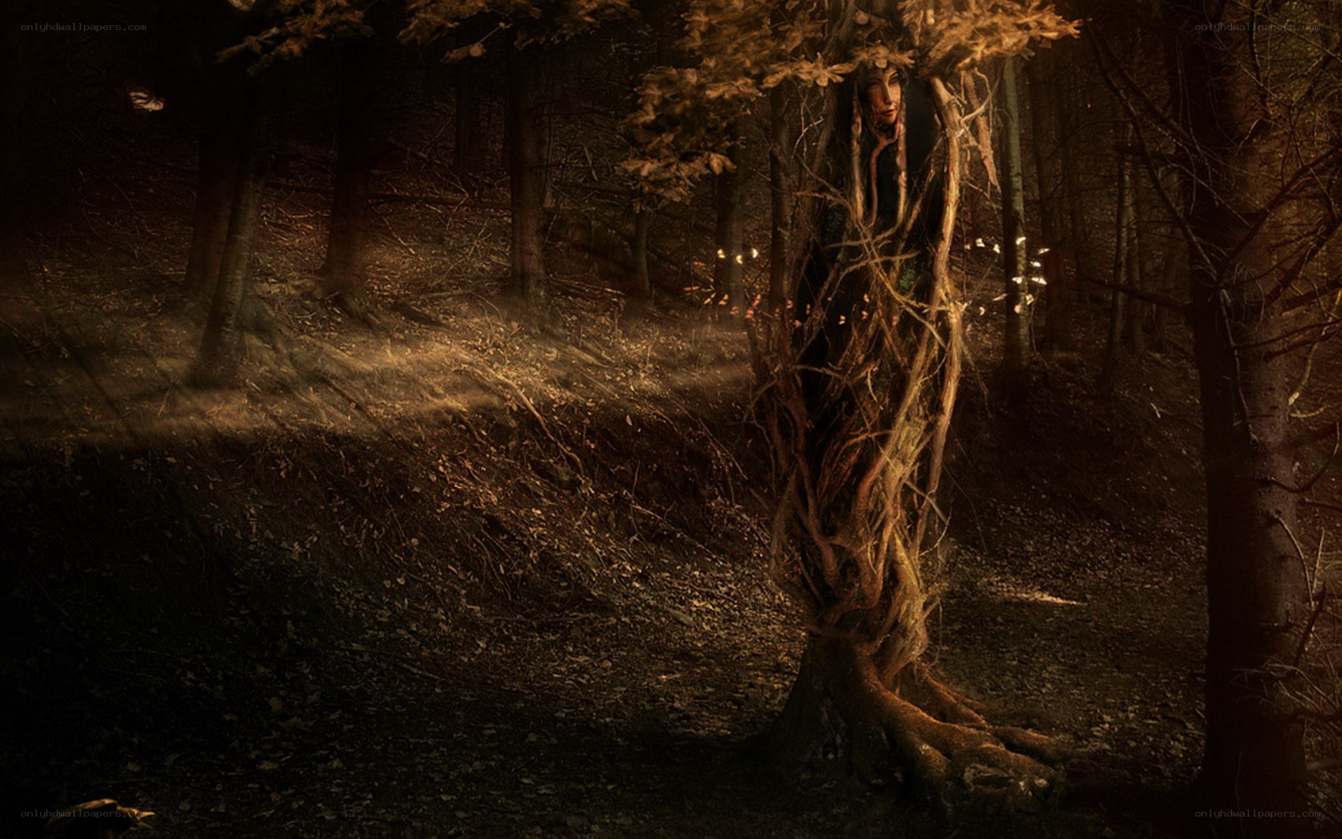 forest spirit in twilight