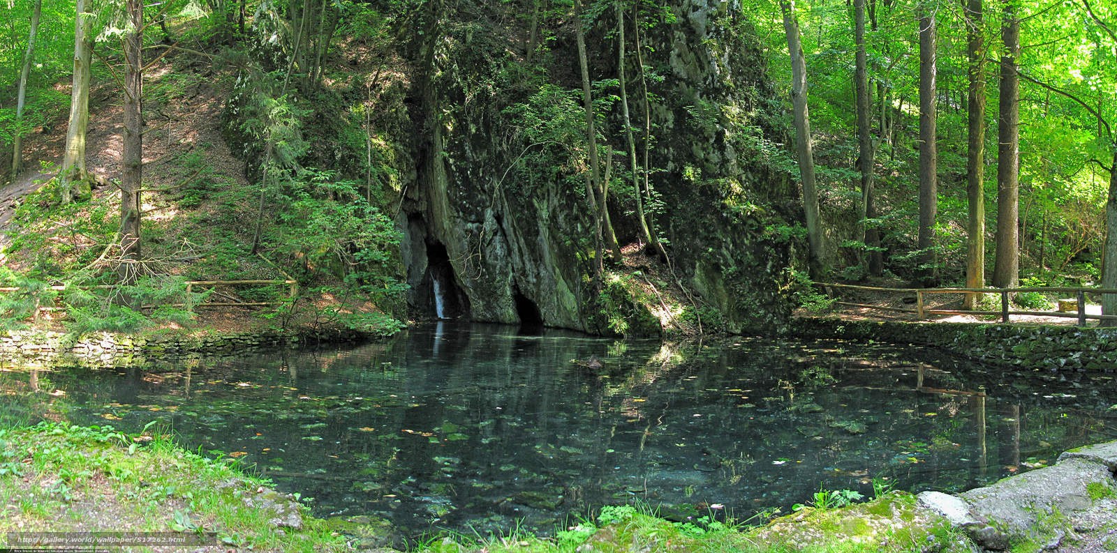 forest spring with cave entrance