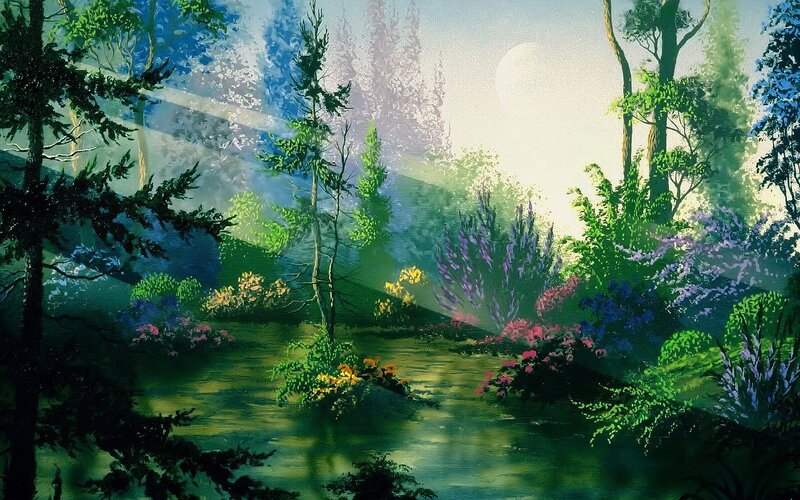 Forest stream at dawn